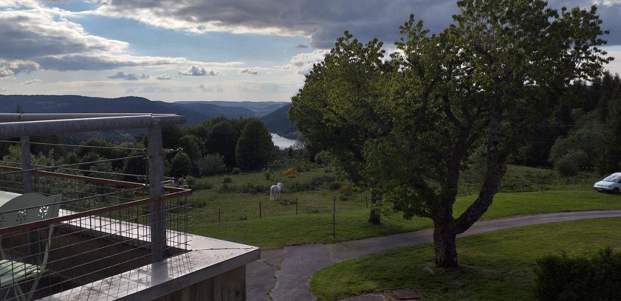 Studio Hauteur Gérardmer Eksteriør bilde