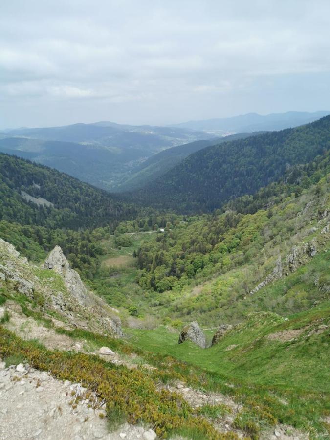 Studio Hauteur Gérardmer Eksteriør bilde